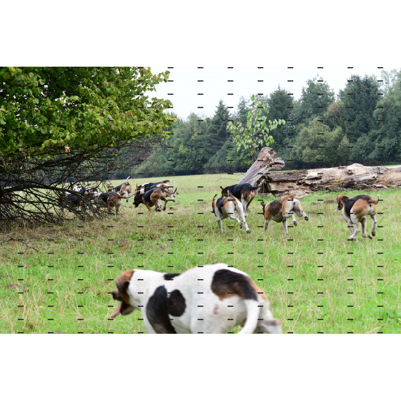 jagd (109).JPG