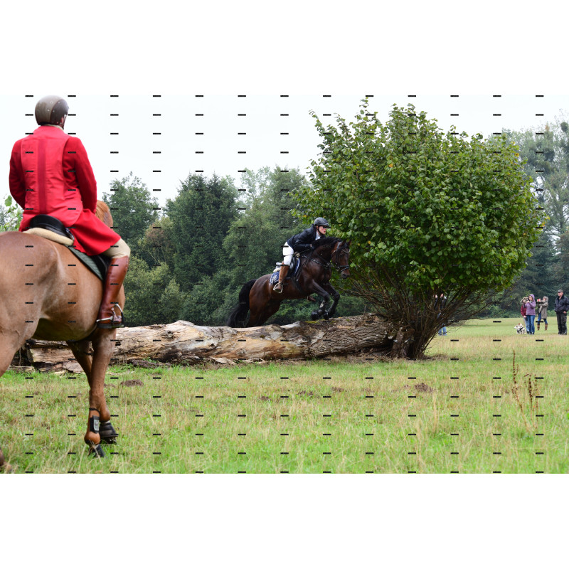 jagd (113).JPG