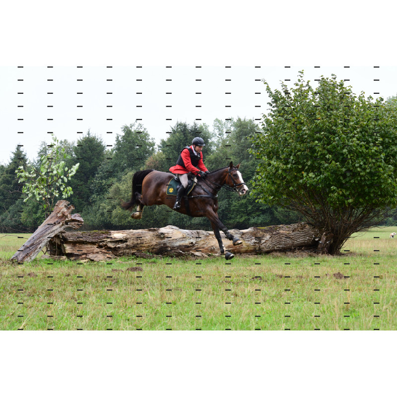 jagd (120).JPG