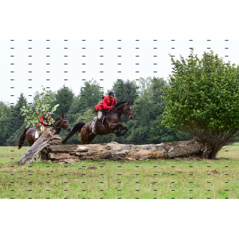 jagd (118).JPG