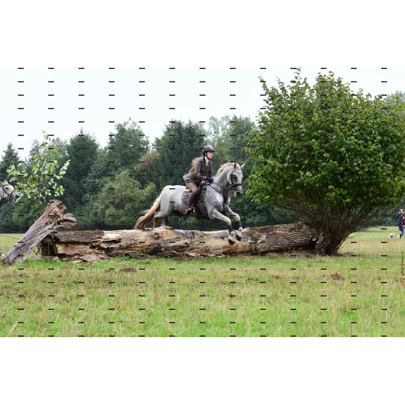 jagd (123).JPG