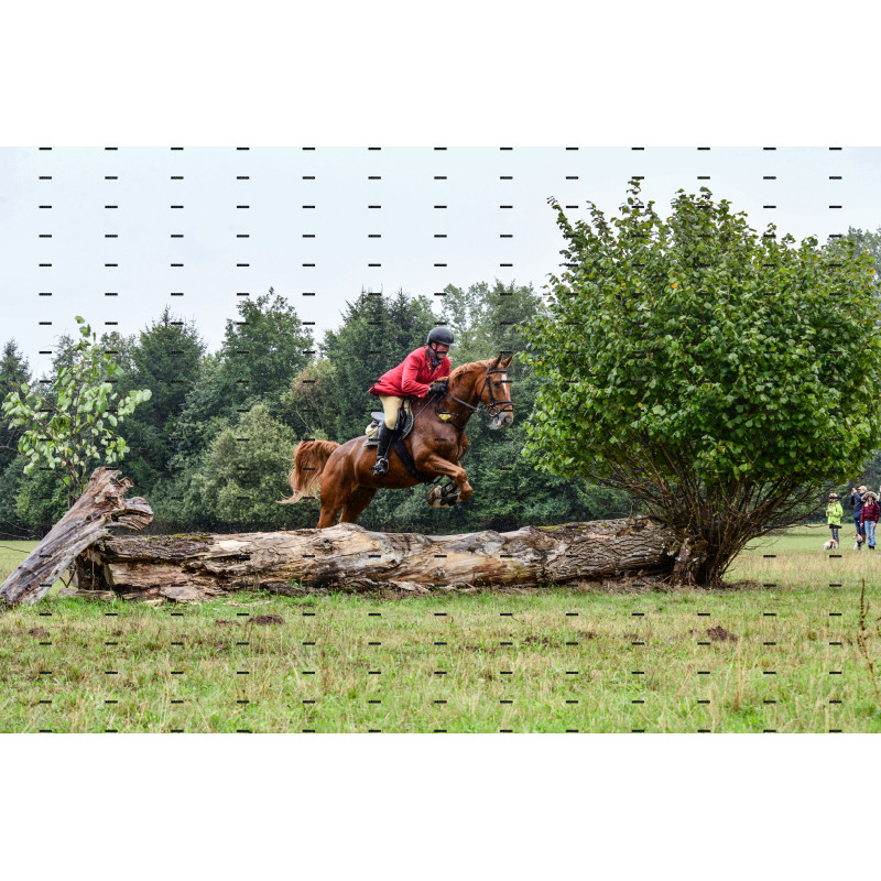 jagd (131).JPG
