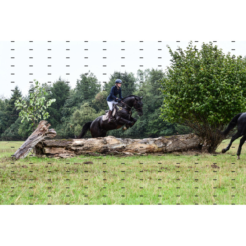 jagd (134).JPG