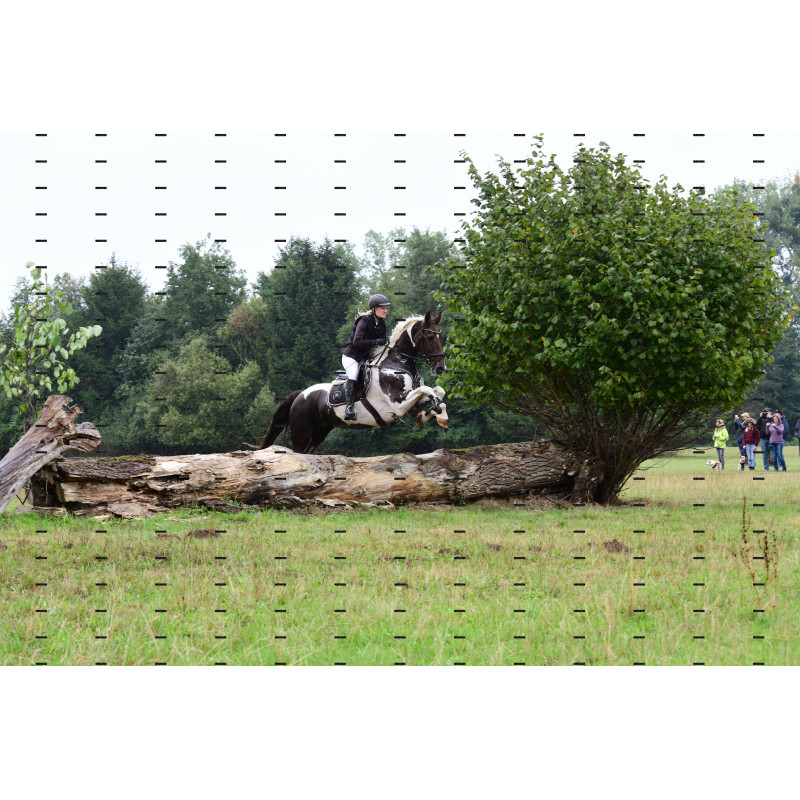 jagd (138).JPG