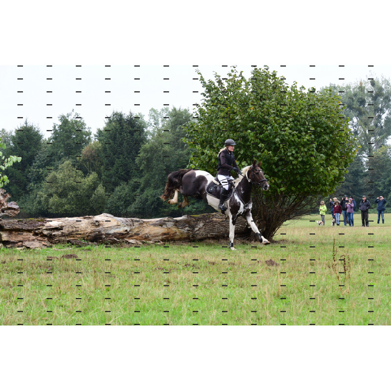 jagd (139).JPG
