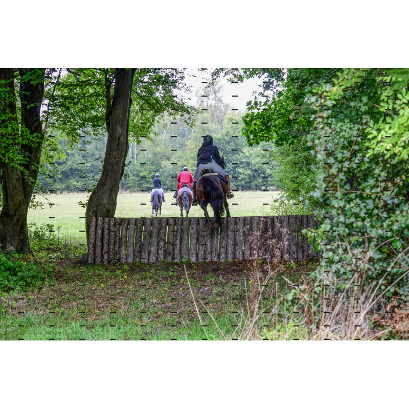 jagd (150).JPG