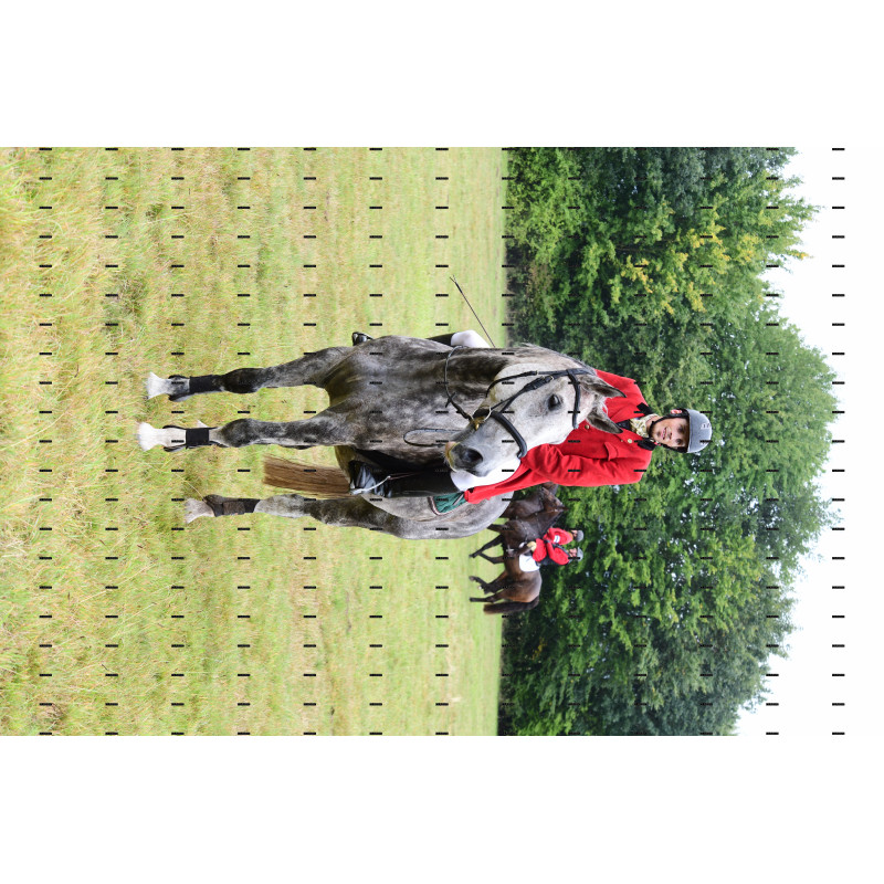 jagd (174).JPG
