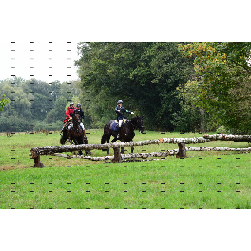 jagd (181).JPG