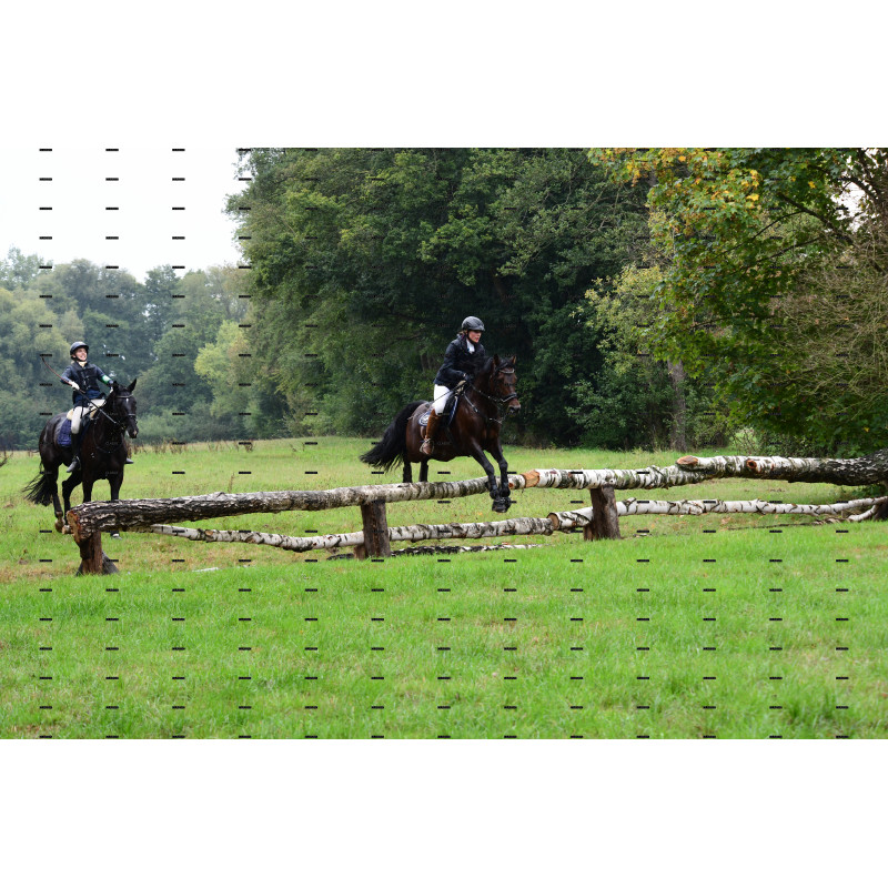 jagd (183).JPG