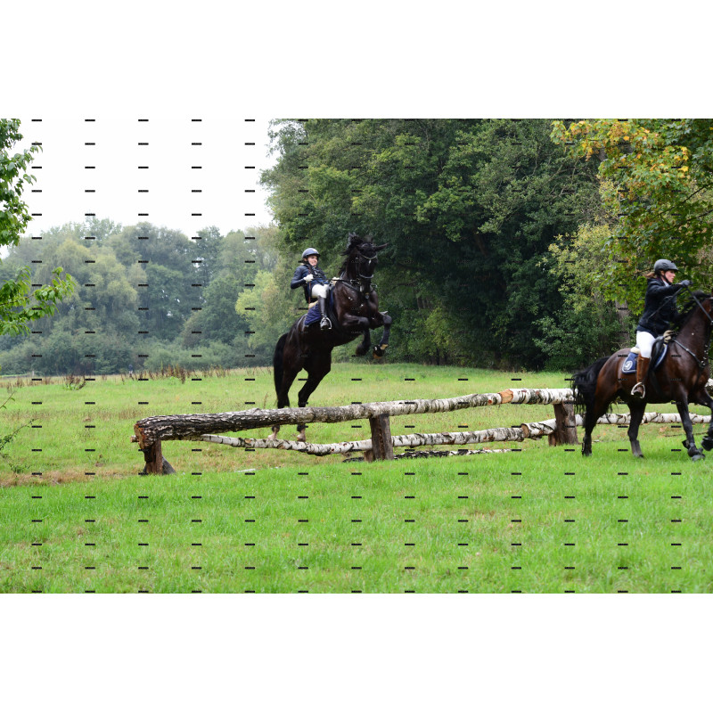 jagd (184).JPG