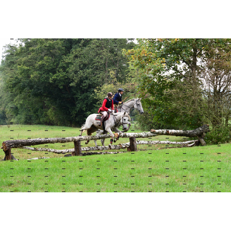 jagd (193).JPG
