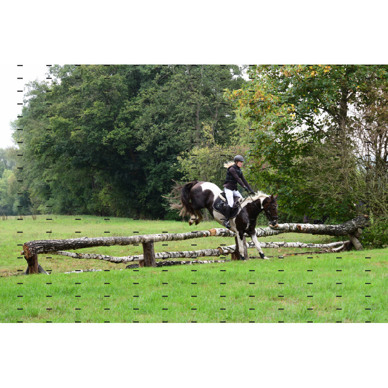 jagd (216).JPG