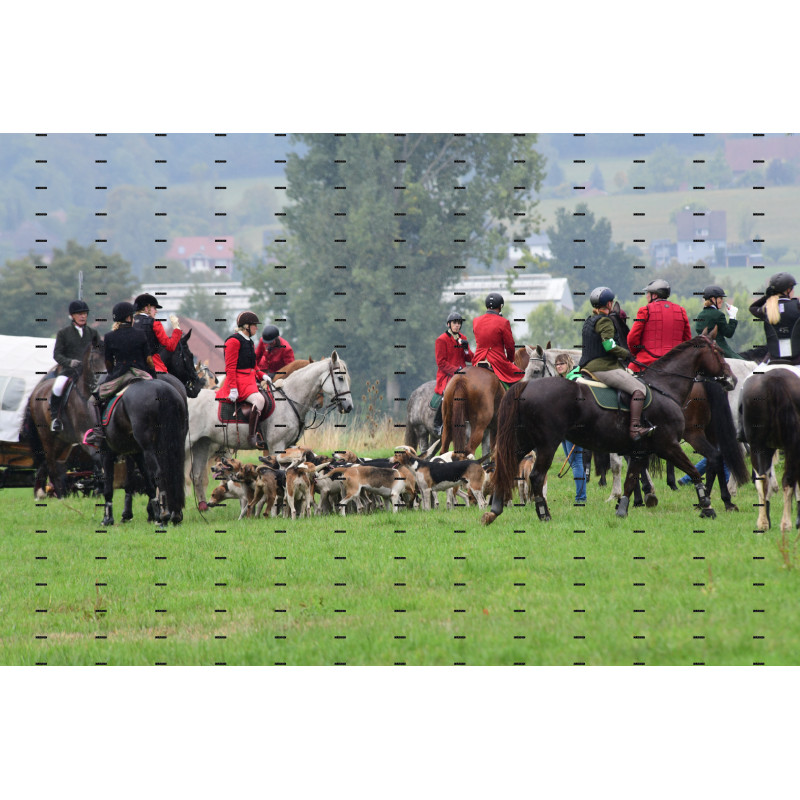 jagd (227).JPG