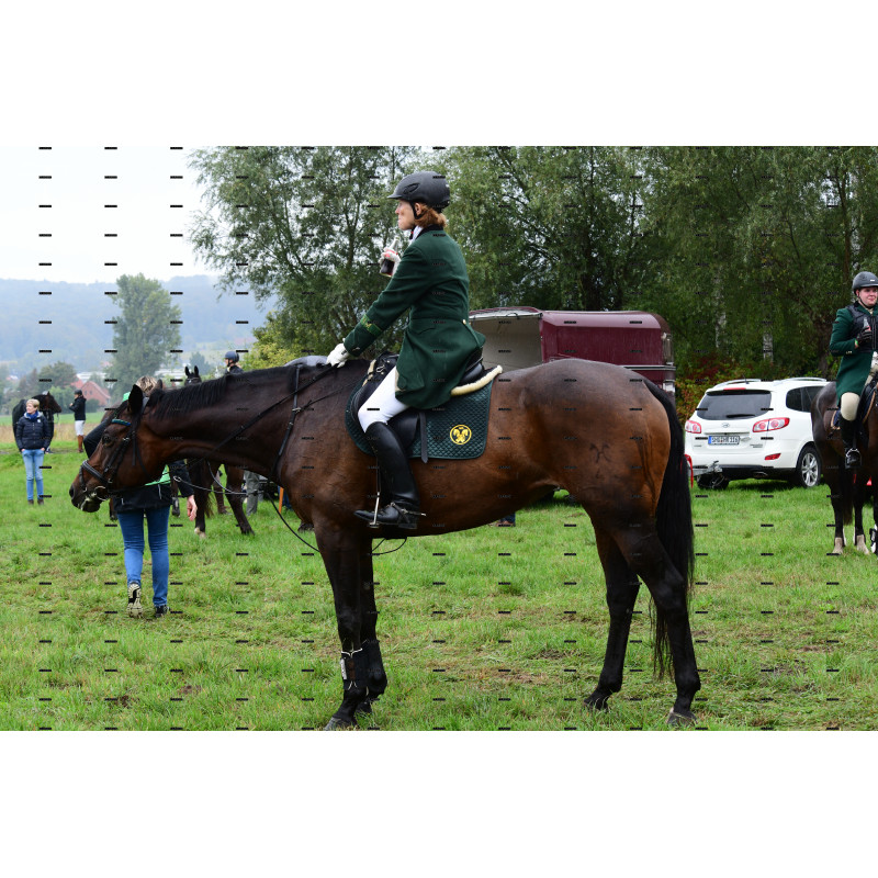 jagd (233).JPG