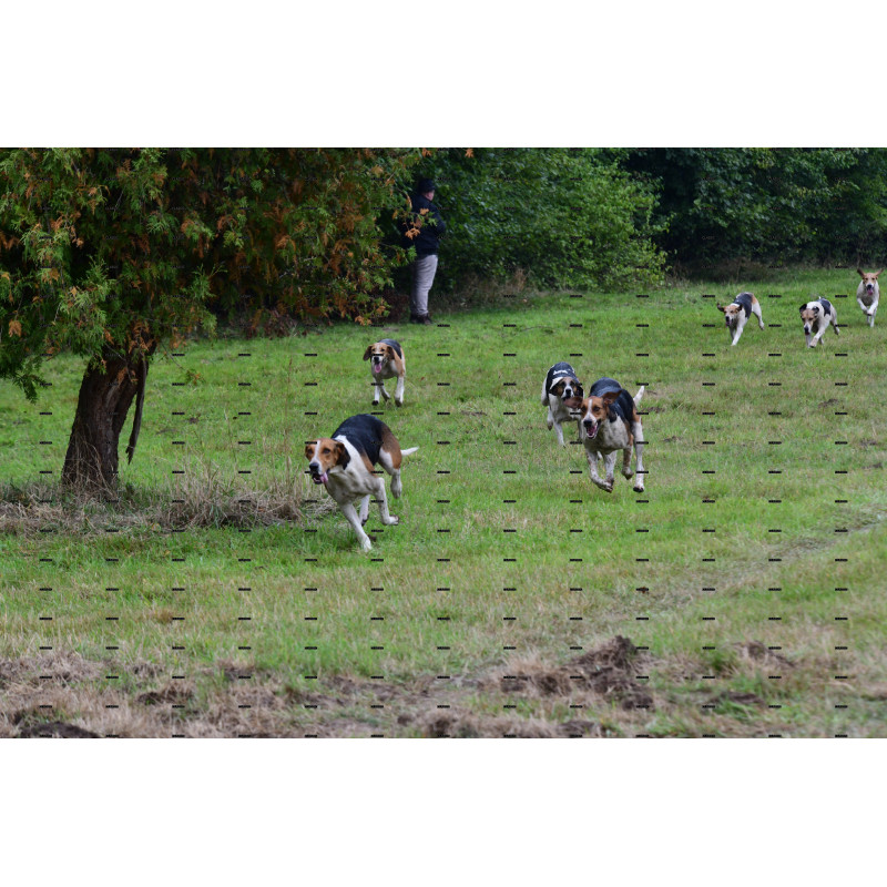 jagd (256).JPG